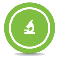 Research Grants
